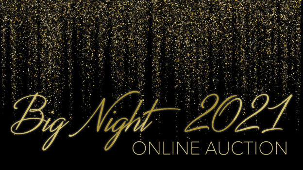 Big Night Auction 2021
